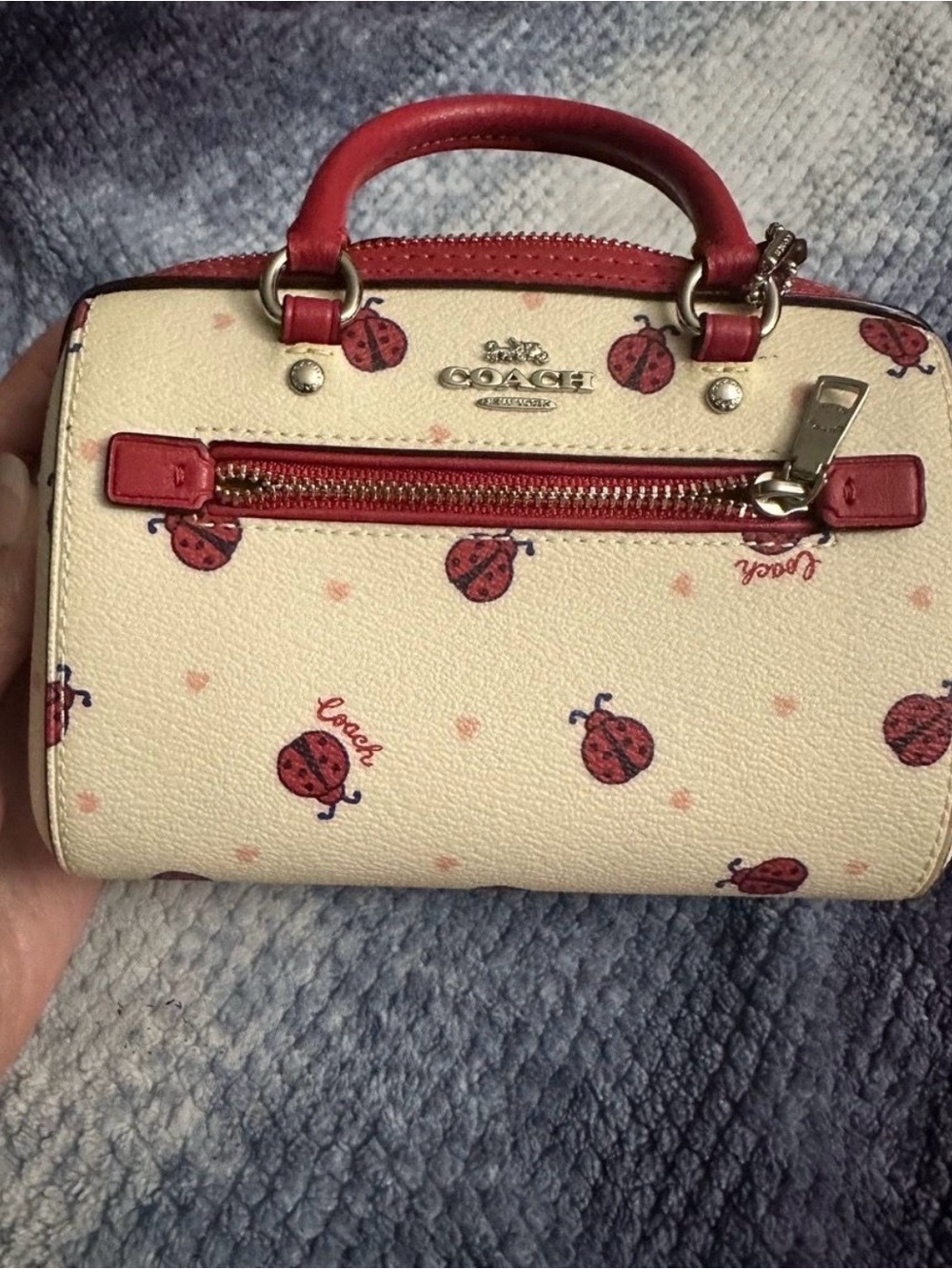 Coach Micro Row Satchel in Chalk Ladybug Floral Print